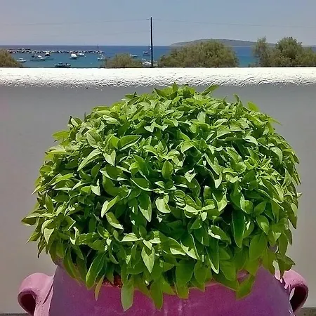 Archontiko Mary Apartment Aliki (Paros)